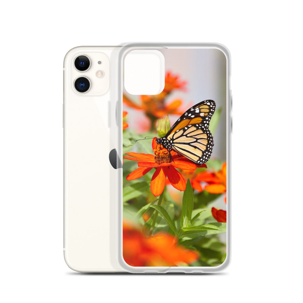 Monarch on Zinnia iPhone Case