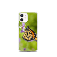 Monarch on Aster iPhone Case