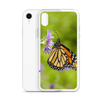 Monarch on Aster iPhone Case