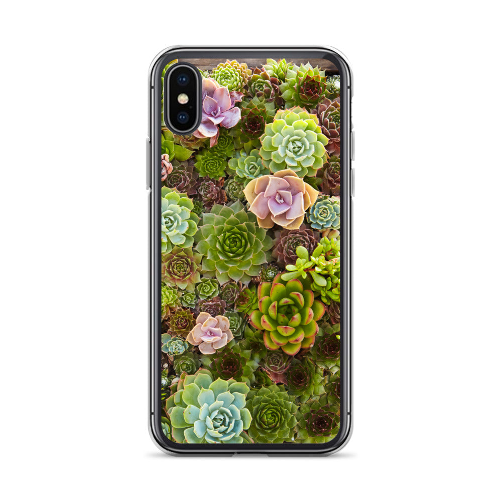 Succulent iPhone Case