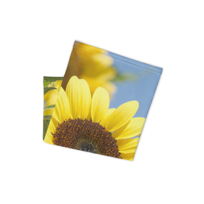 Sunflower Neck Gaiter