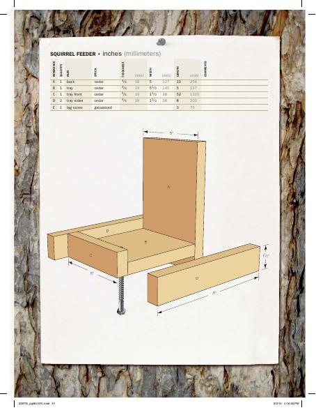 Squirrel Feeder Woodworking Plan