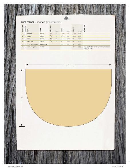Suet Bird Feeder Woodworking Plan