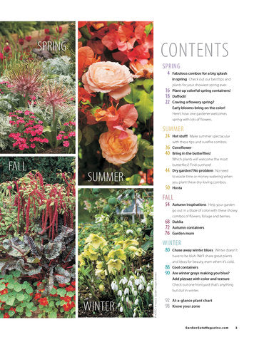 Great Plant Combos Made Easy, Volume 2