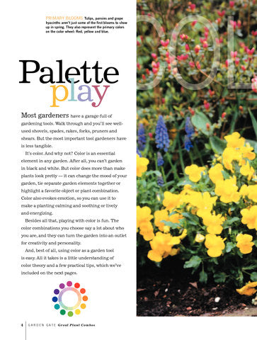 Great Plant Combos Made Easy, Volume 1