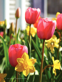 Perfect Plants for Every Garden