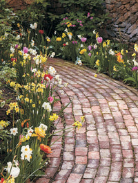 Color Your Garden
