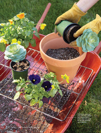 The Best of Garden Gate Garden Tips, Volume 3