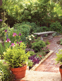 Backyard Retreat, Volume 1