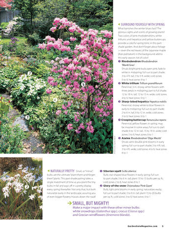 Great Plant Combos Made Easy, Volume 2