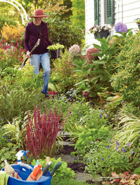 Easy Weekend Garden Solutions, Volume 1
