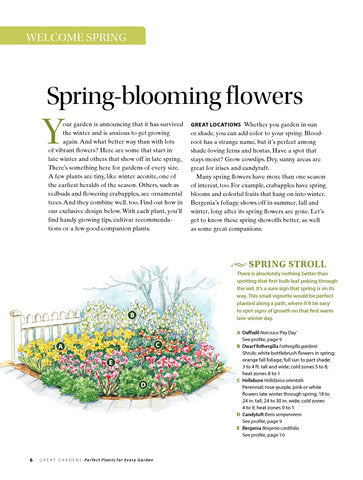 Perfect Plants for Every Garden