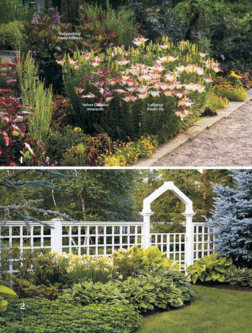 Color Your Garden
