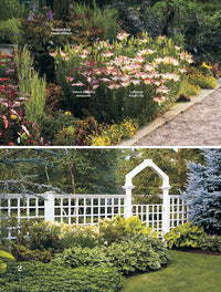 Color Your Garden