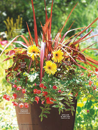 The Best of Garden Gate Garden Tips, Volume 1