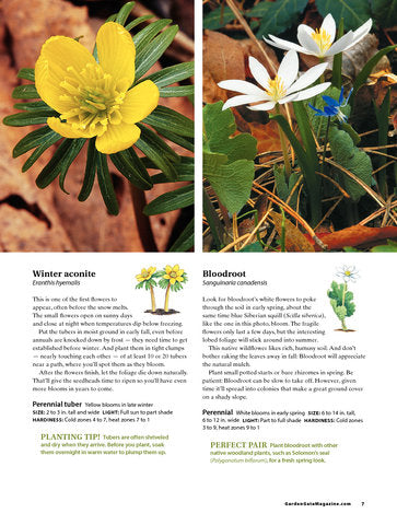 Perfect Plants for Every Garden