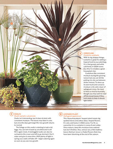 The Best of Garden Gate Garden Tips, Volume 4