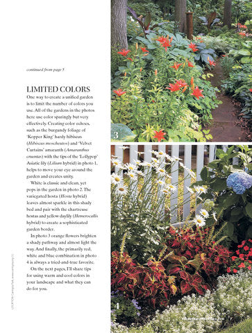 Color Your Garden