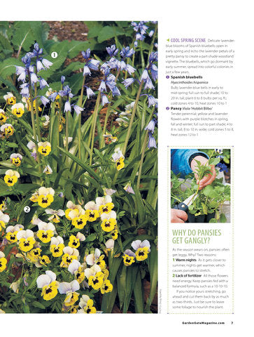 Great Plant Combos Made Easy, Volume 2