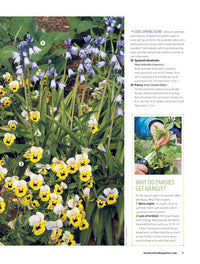 Great Plant Combos Made Easy, Volume 2