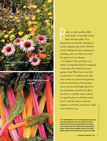Great Gardens Made Easy, Volume 2