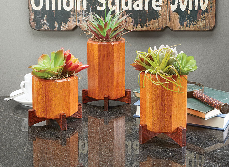 Succulent Plant Stands – Garden Gate