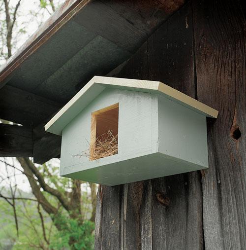 Mourning Dove Nesting Box Project Plan