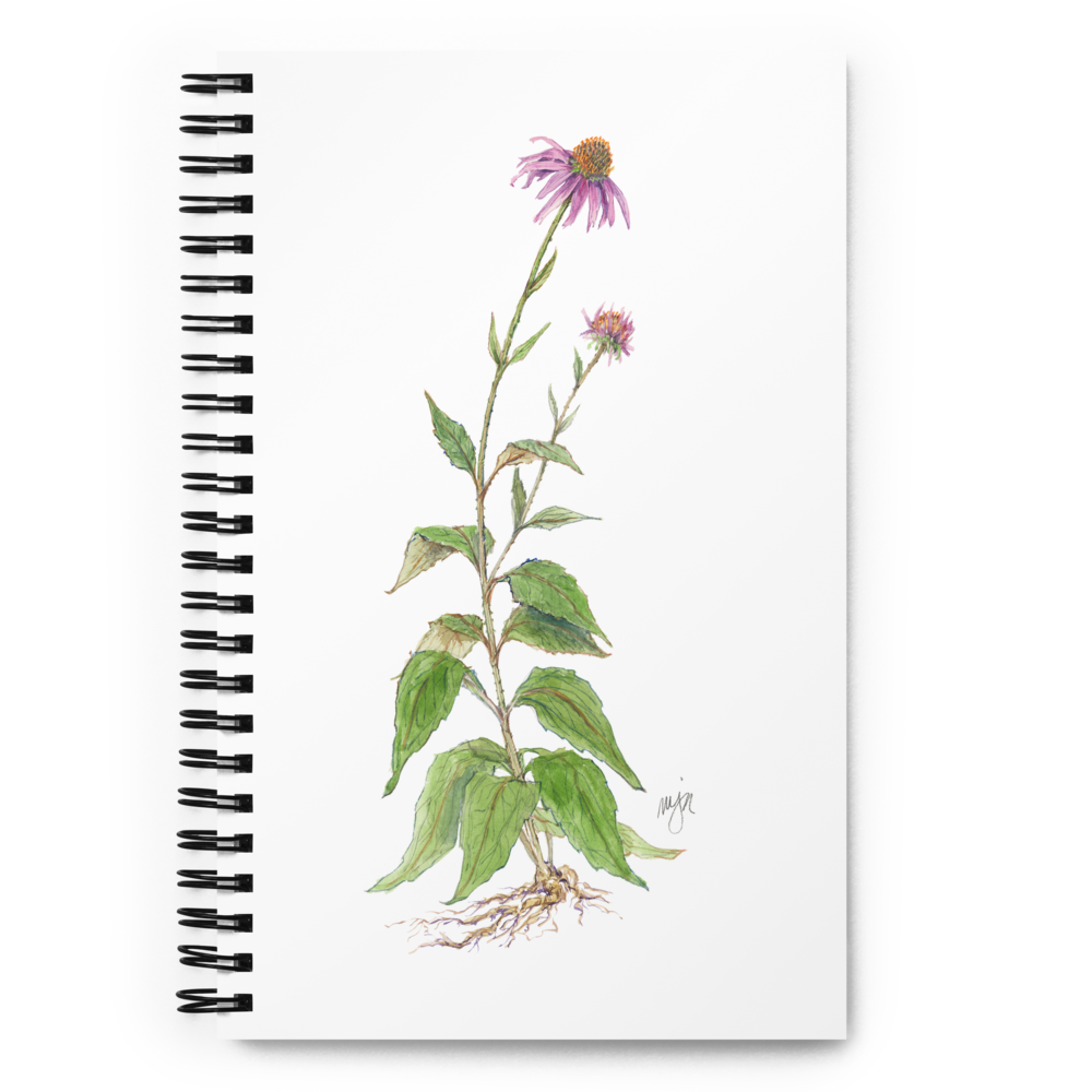 Coneflower Botanical Illustration Spiral Notebook