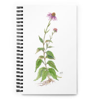 Coneflower Botanical Illustration Spiral Notebook