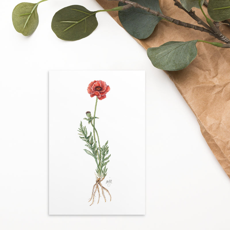 Columbine Botanical Illustration 4x6 Notecard (Single card)