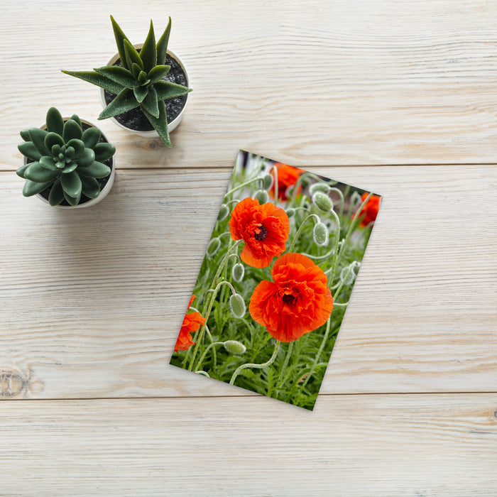 Poppy 4x6 Notecard