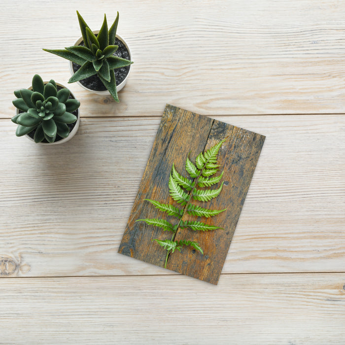 Fern 4x6 Notecard